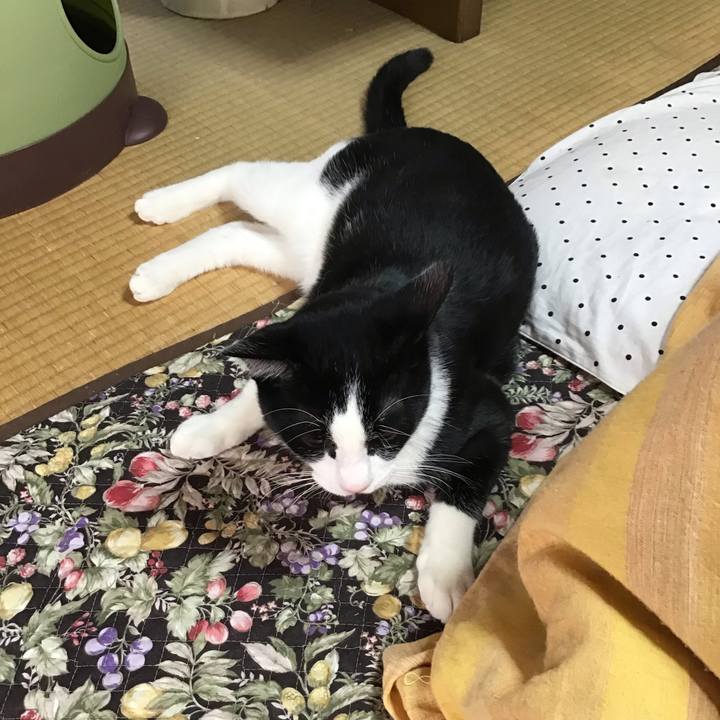 00279836 f3c1 48c5 b7a6 822a2ec0470c 1640394381775