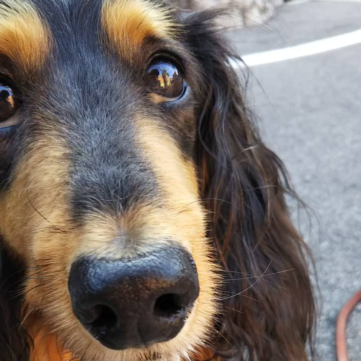 0027c186 4103 4875 a45e 34c90bd5b86f 1712549843367