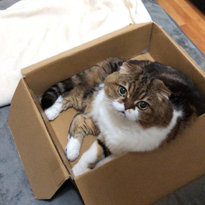 00280797 c448 4c4b acde 60de85e94b77 1538735261046