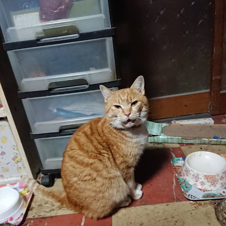 002817b0 f854 48f7 a012 f6f055a68360 1578685468362