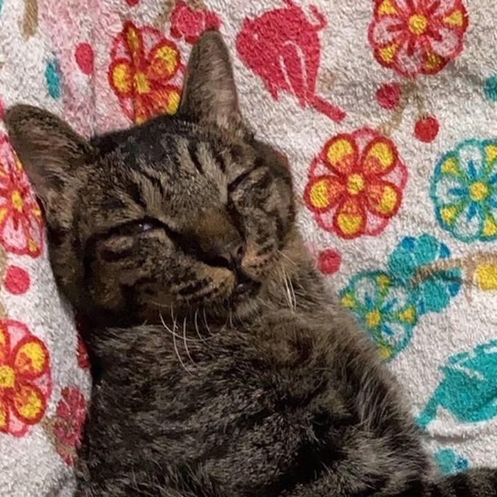 002844ba 9b3a 4779 bc9d ee27fcba586f 1661403187322