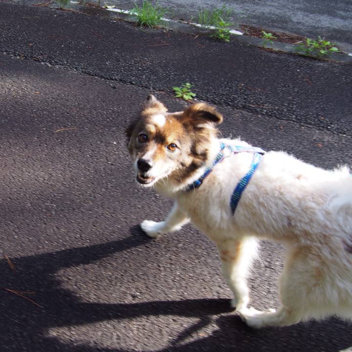 00285f93 0059 49da a6d3 61f5c07522b2 1519975135264