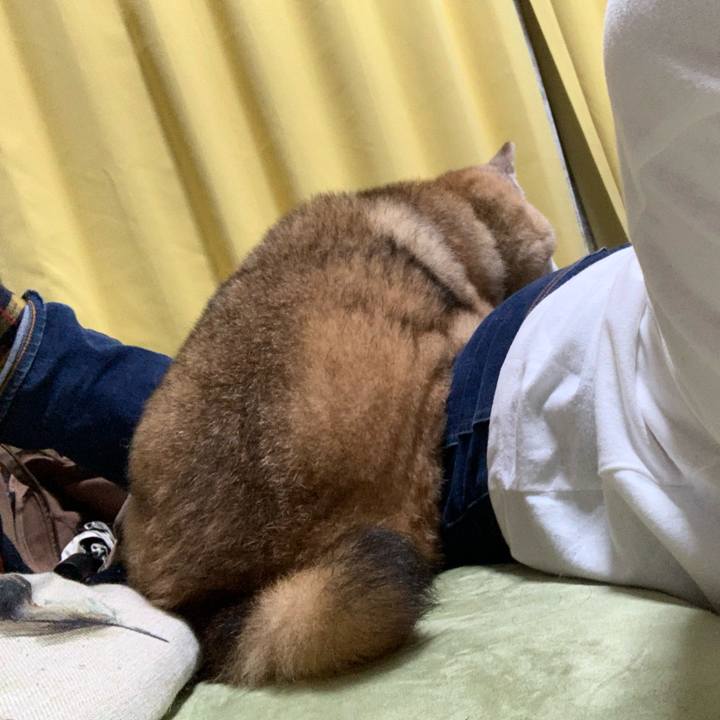 0028611f 489c 4297 b463 cceed76718f0 1696941965072