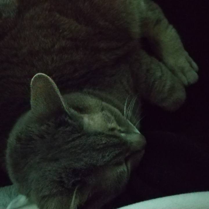 00287a45 0c2e 4b55 9ac2 01602f87a813 1642758434558