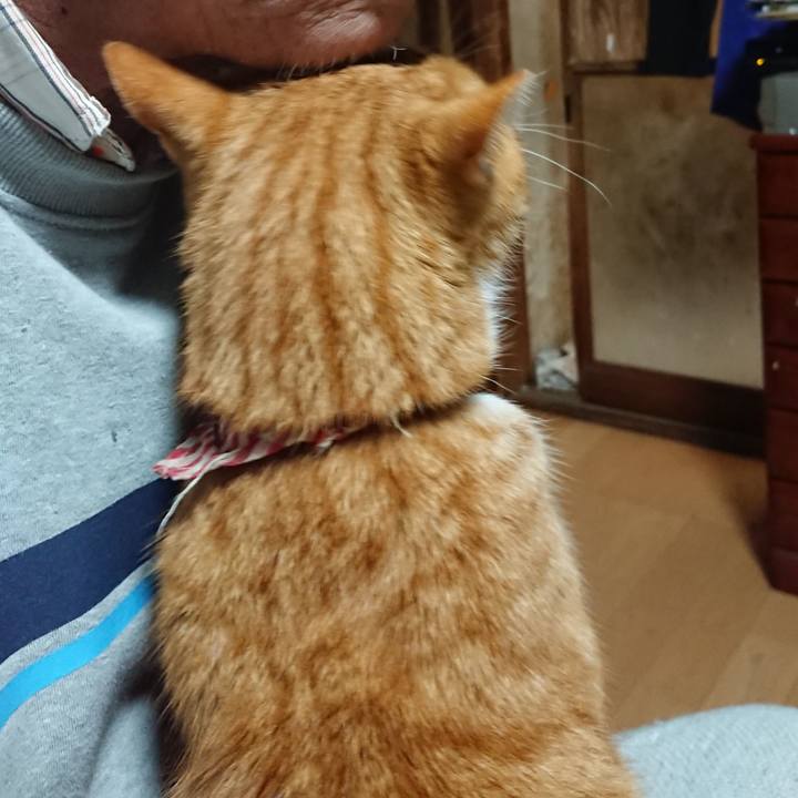 00289cc6 7353 4545 a812 7fe1e0e45843 1606765616607