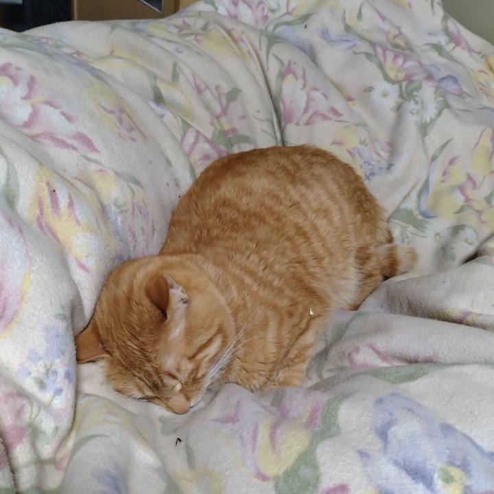 0028b673 5c39 4573 8f85 d42ea3bb6eae 1674737244354