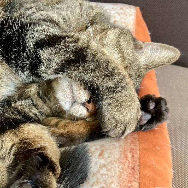 0028b91f 3b4f 430f b8f2 45b6a6b31858 1644040344482