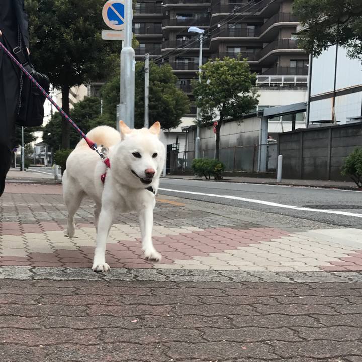 0028ce1c fea5 44b5 9458 ea6a80605179 1512690644699