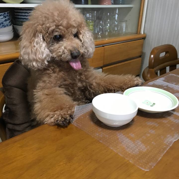 0028df4d 0cb2 4d7b 8cc8 fef7540a51cf 1523804494021