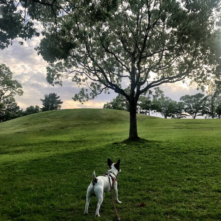 0028ebed d6ac 418d a0ef c4d2cba0b683 1527424486531