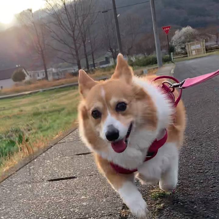 002949c6 b8e3 4ed9 9be0 a91e26ac2dfd 1678696415447