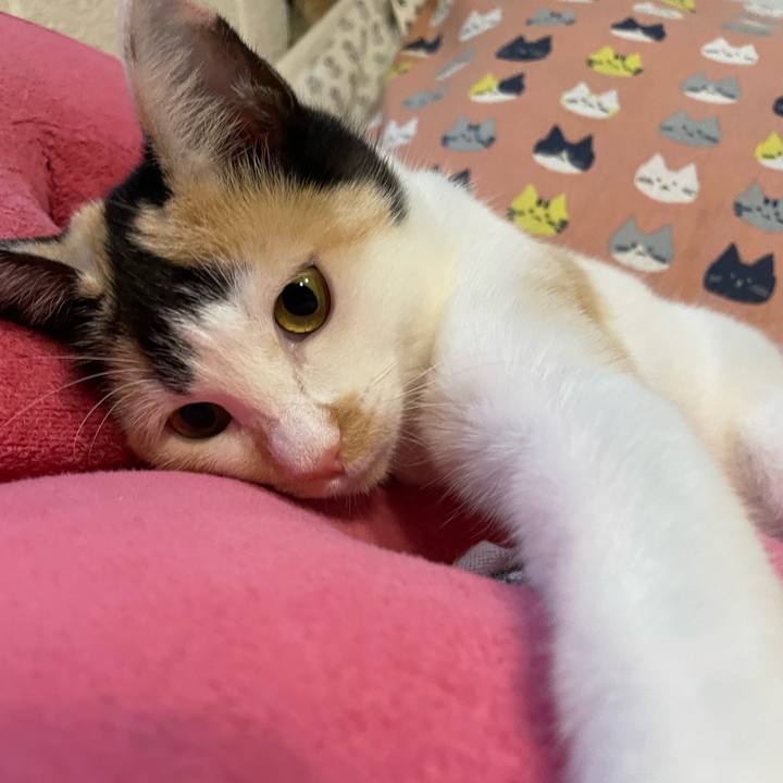 00295af2 5e27 46a6 b5a2 de444d4a3dbc 1667295940327