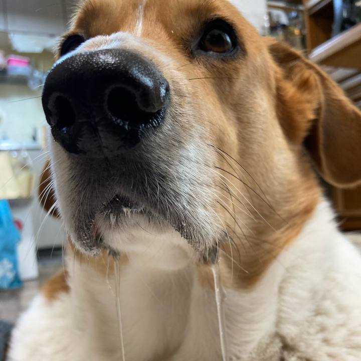 00298fd3 486a 4dd5 8a8e 8bfd262ffdaf 1709168273593