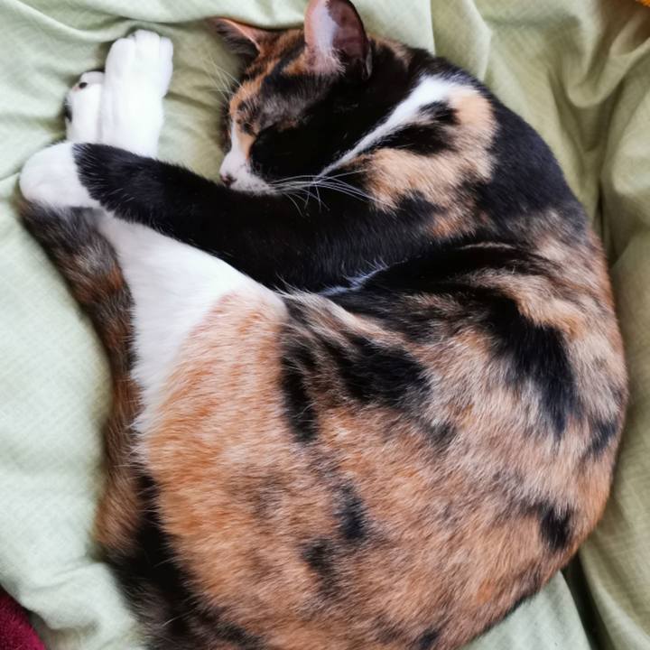 0029de0f 3736 42fd 83a5 4f9291e8253b 1650859794769