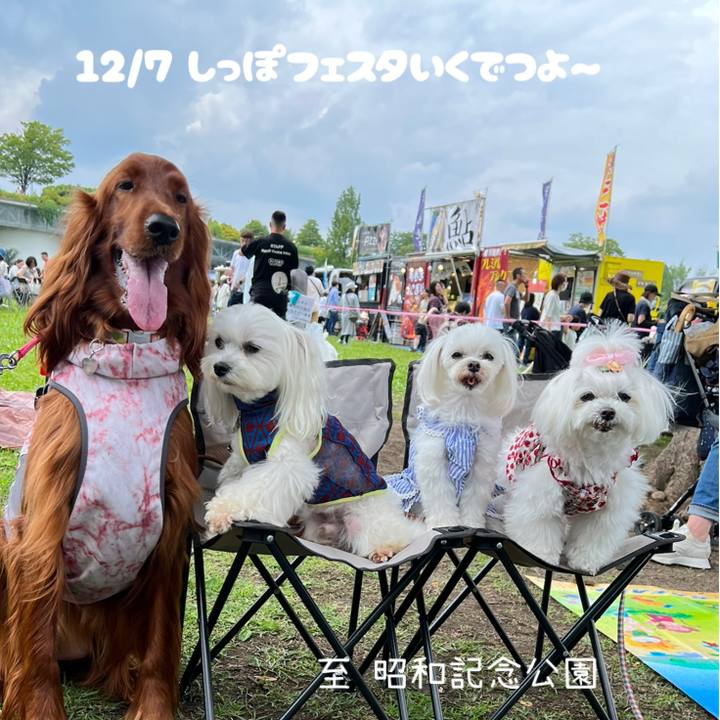 0029fe78 56c9 4d7a 9cb4 1928639680c1 1764931339672