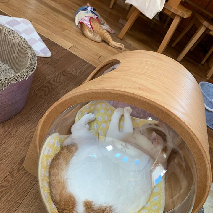 002a03d9 953f 41e1 8f0b 2e6b07a2a00a 1597466992727