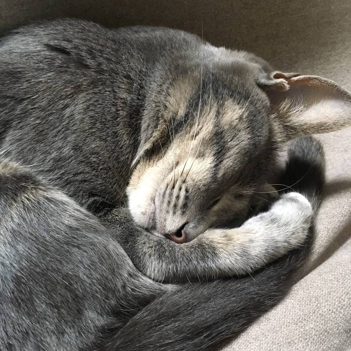 002a0679 3c1c 4f30 830b 40469e2120ad 1524658681311