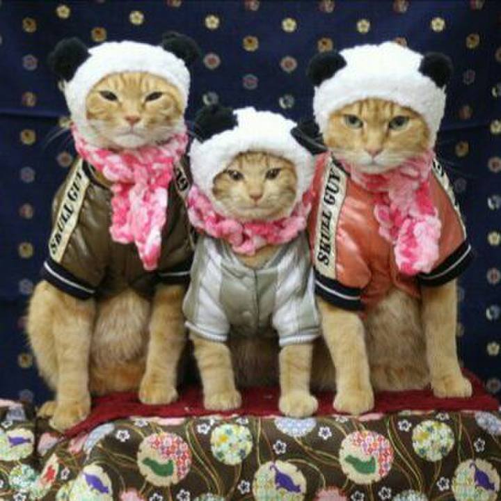 002a0ae9 e1c5 4b62 9450 0ac0d8329b9d 1546187846818