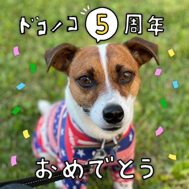 002a68a0 a543 44cf a7c3 4625860f2e33 1623302955470