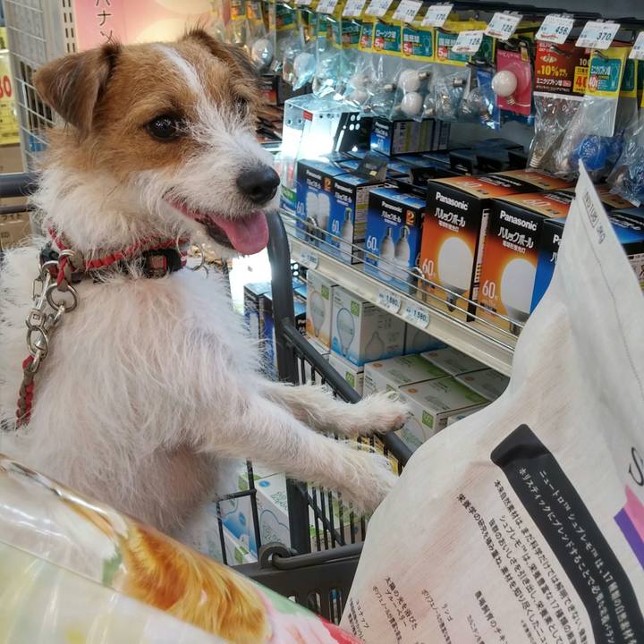 002a6d8d e92c 4be6 a6a0 a7fa995d9fe4 1536989202432