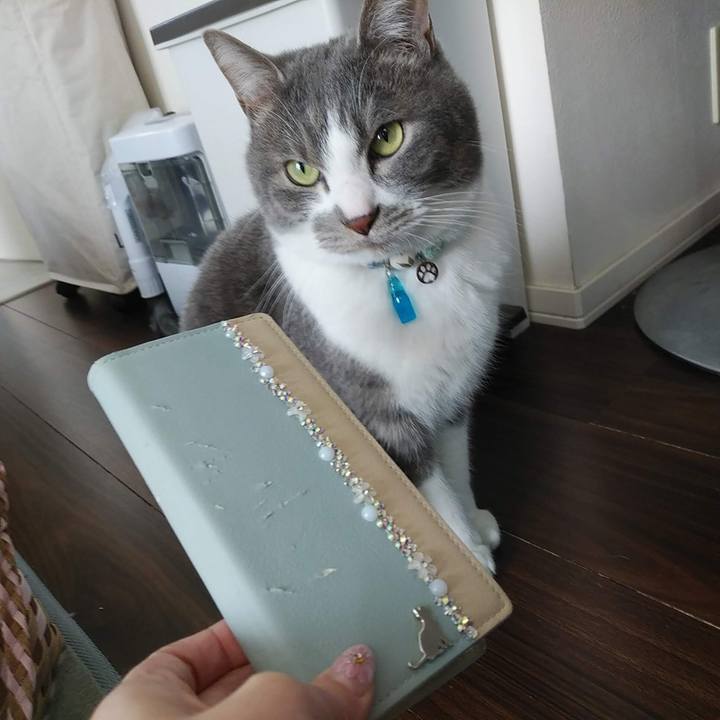 002a7d09 c711 4cf4 b81b 254be6969e45 1677397046458