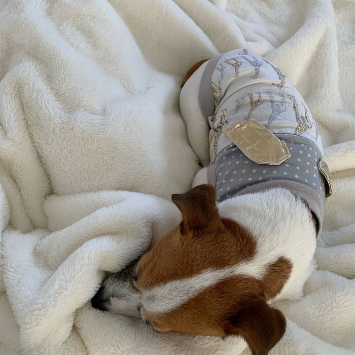 002a8377 d966 4be9 a3bd b2dad604cf4b 1580622825708