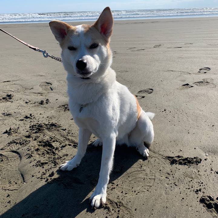 002aadea ed09 4e3a a720 3021f6551bd6 1577851296230