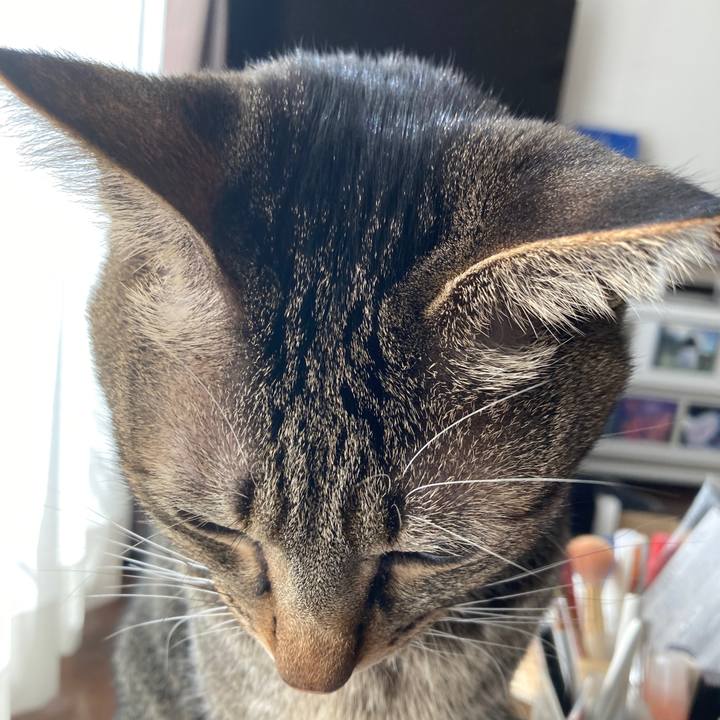 002aee2f feee 4509 9919 acc835c899d8 1763591616424