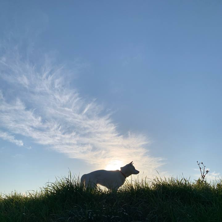 002afdaf 4c90 40d1 baa4 f261f6f80bdf 1578750559357