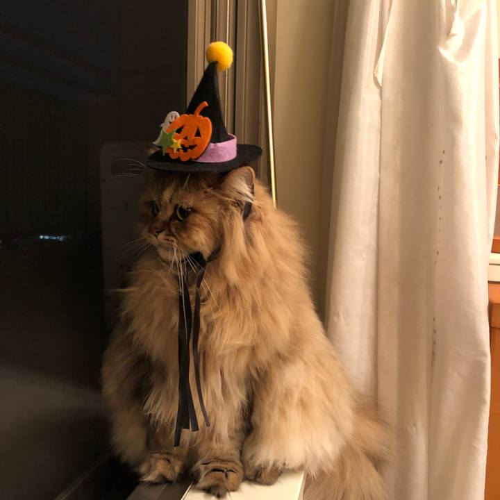 002b2520 4e27 453d b799 170286e227e0 1540903316352