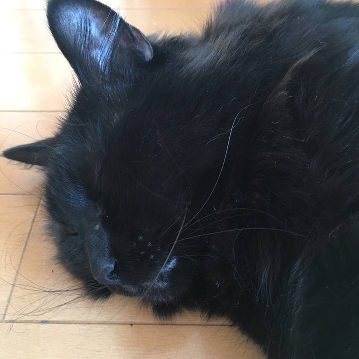 002b483b 7aff 44e1 b3d4 6330a236e8e0 1519696799969