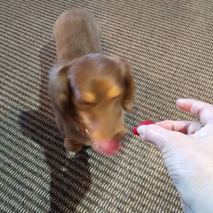 002b51dd c743 426b b8d9 e48a4b66ee69 1585269127753