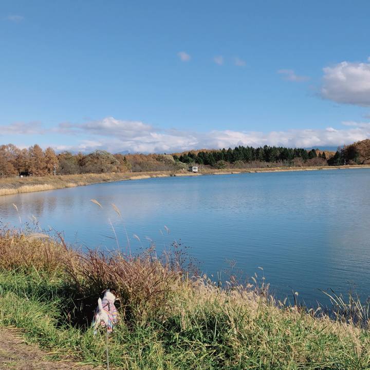 002b9cc1 d05a 43e6 9968 3fa2cc2a565e 1573726837996