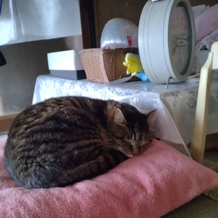 002ba6fc 8641 442f 8db0 1e0bee42bbdb 1680129294346