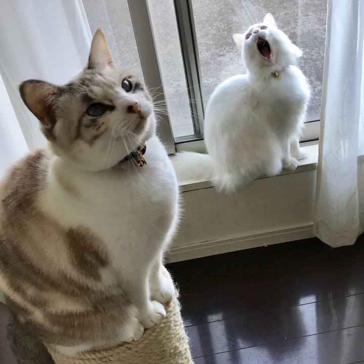 002bcf5b 00e8 4e9d 9b6a f1aac4b0e5fe 1542970916283