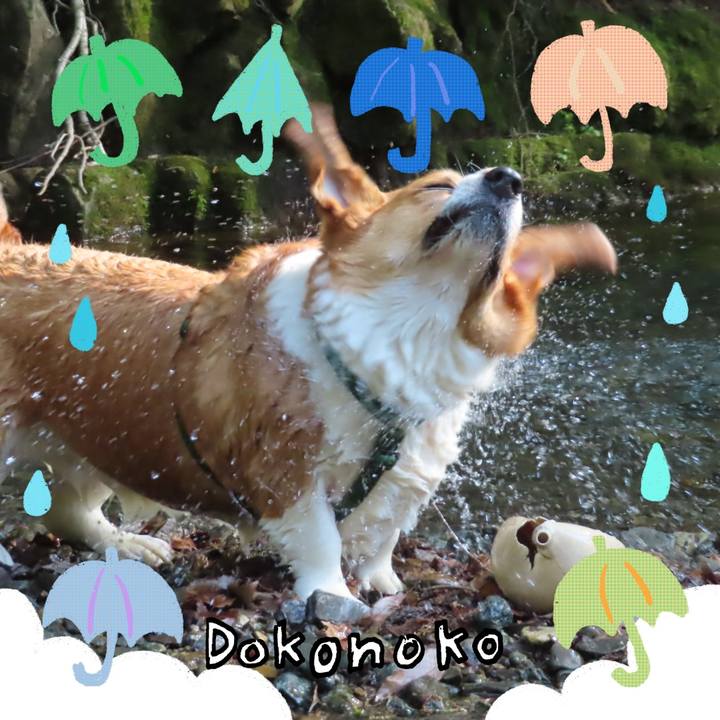 002bcfda 726a 434c 8dbf b05302395625 1717631520620