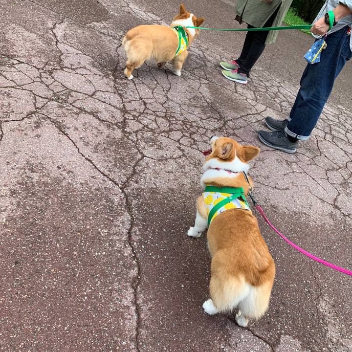 002bdcd8 5a55 4088 a450 ac432ab5320c 1568973842822