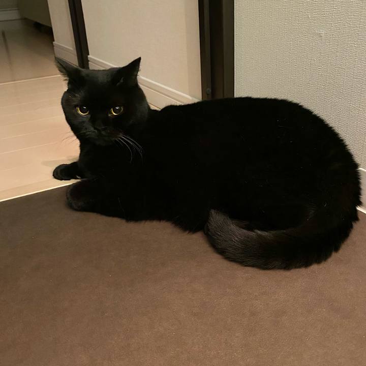 002c15a7 4bd5 4630 8dec b0385a7c6287 1605082195410