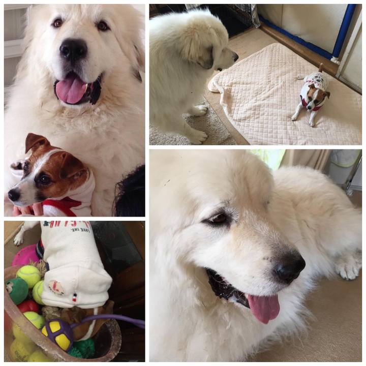 002c2a77 c0eb 45b4 8d5e 255277383c19 1666053259831