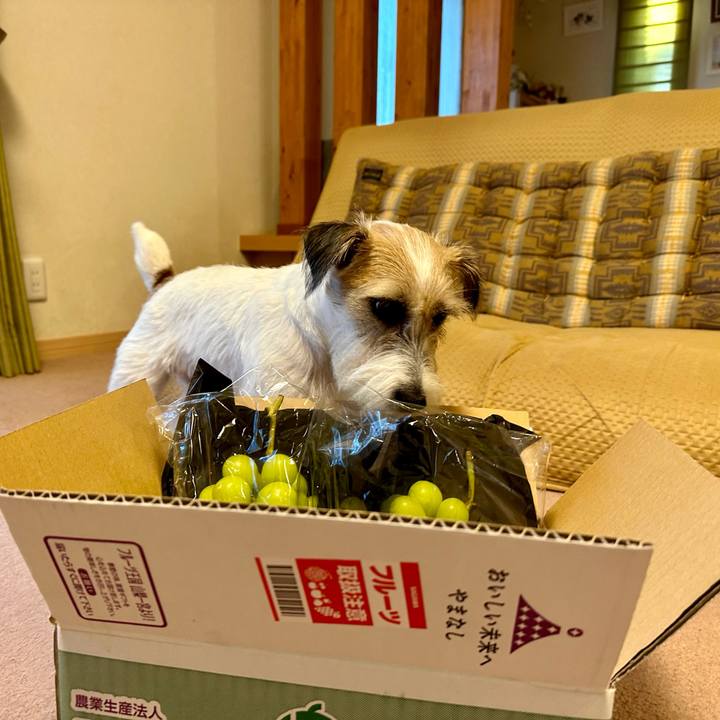 002c8529 67ab 4a3b 8451 b37152ffea11 1694522189558