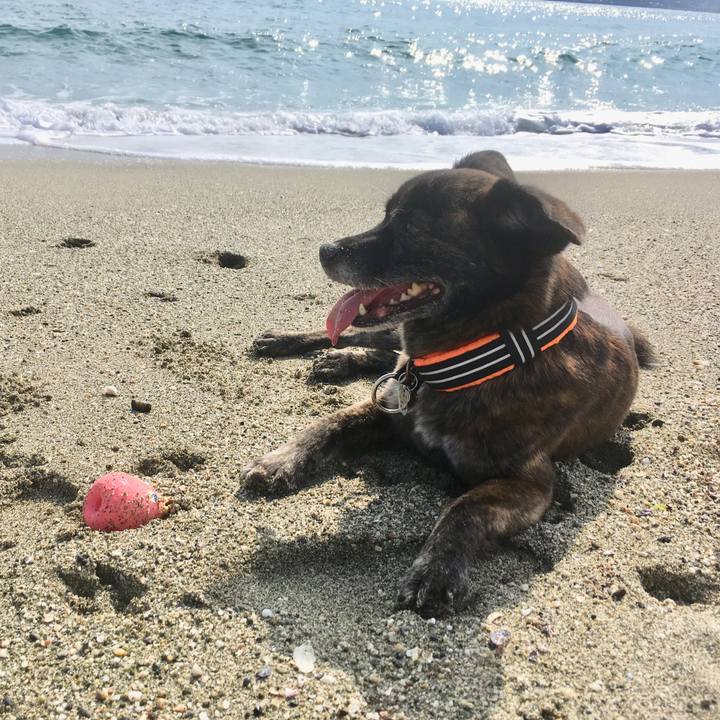 002caa1f 526b 4a8c 950d 07ee0f9f65a0 1530434367106