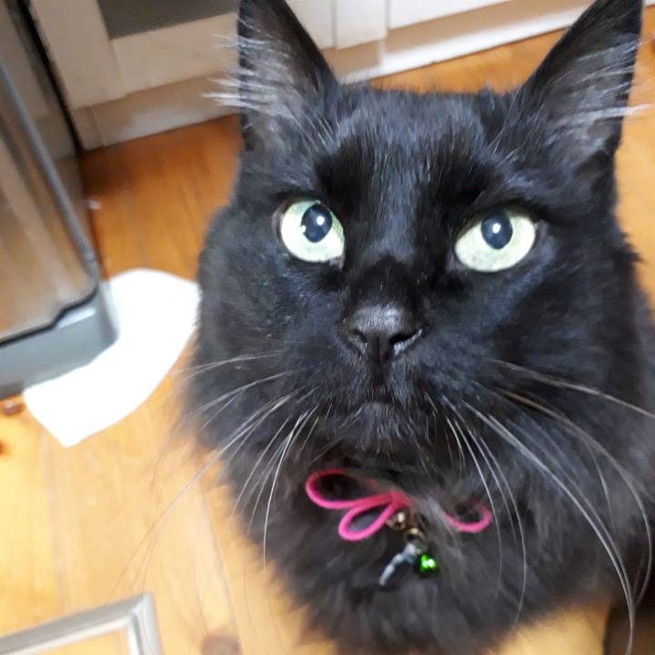 002cca41 b126 49f4 9bba 0fdf3b1b7307 1519287482343