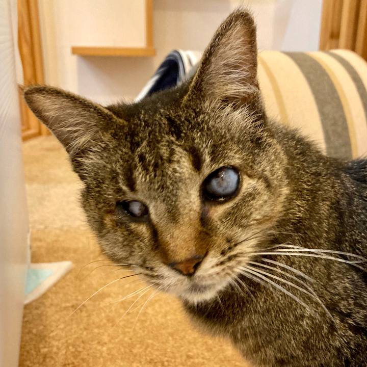 002d0007 eeeb 4722 ae28 acbdf515cbfc 1676540014196