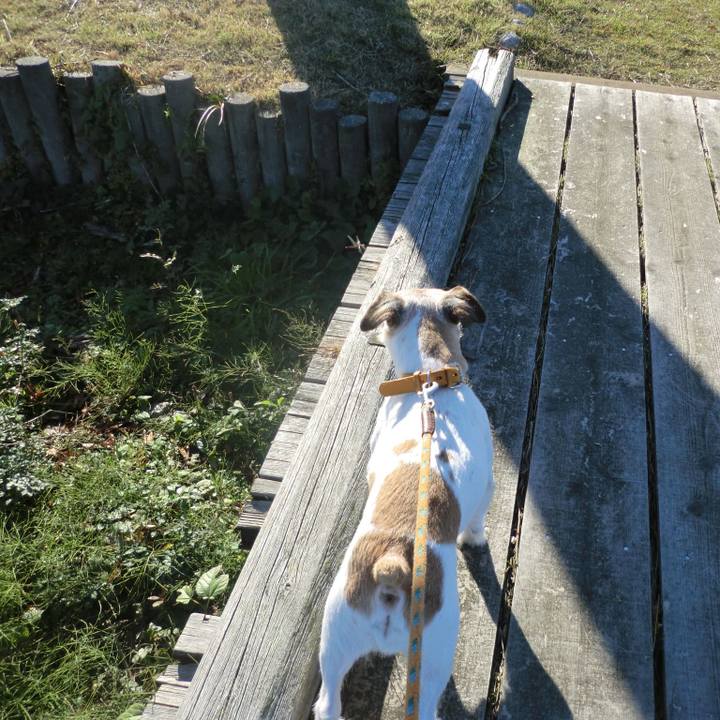 002d0b81 d14f 4a70 9cfe e8aded8331c3 1574936659450