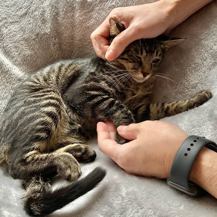 002d2deb 985e 4f45 a1cf f9e4f2525225 1604999752691