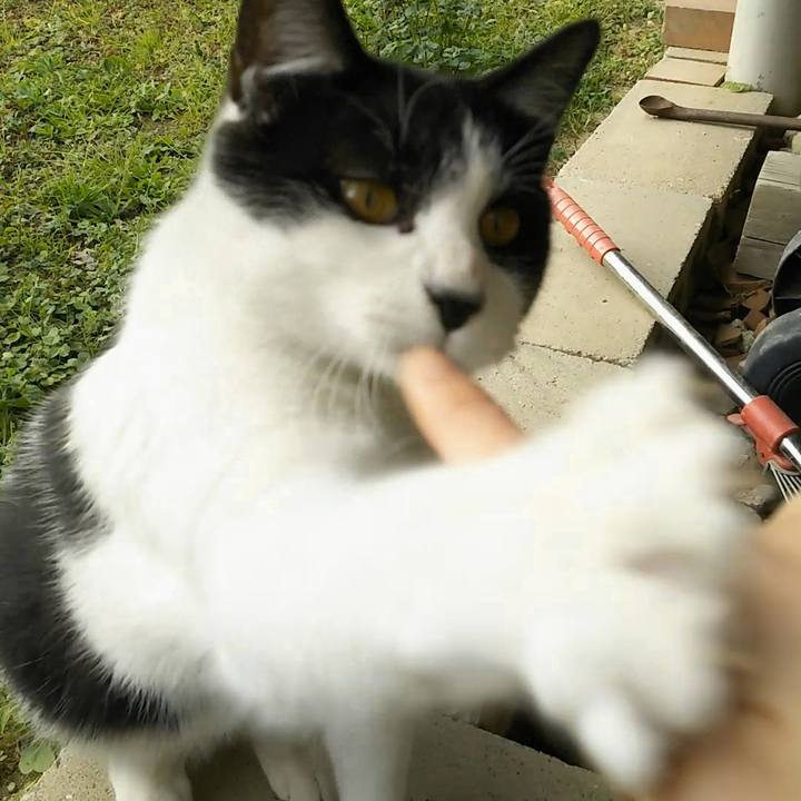 002d68cf 88bf 4eef be1a fc1bd9531d7e 1545798841947