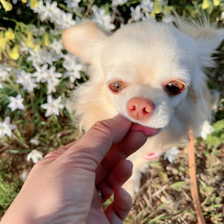 002da658 0c91 4565 bf11 d13d0d0d13d5 1711100055358