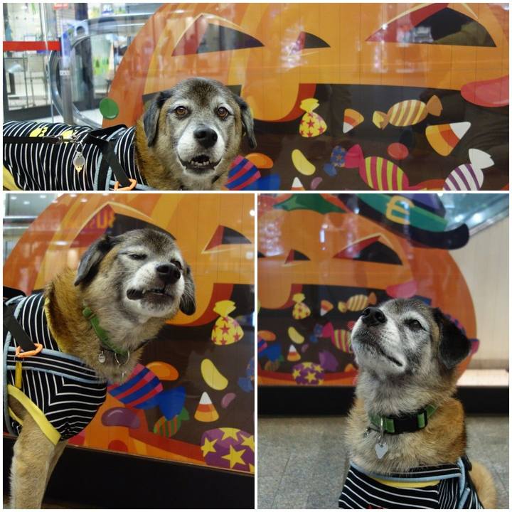 002dbae9 d0ca 4794 9e74 72b9c169e513 1571482050450