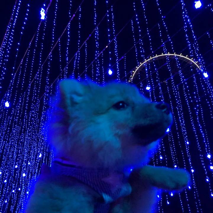 002dcb35 8ae3 46c6 8b21 8cfd16eb1bb5 1577599148151