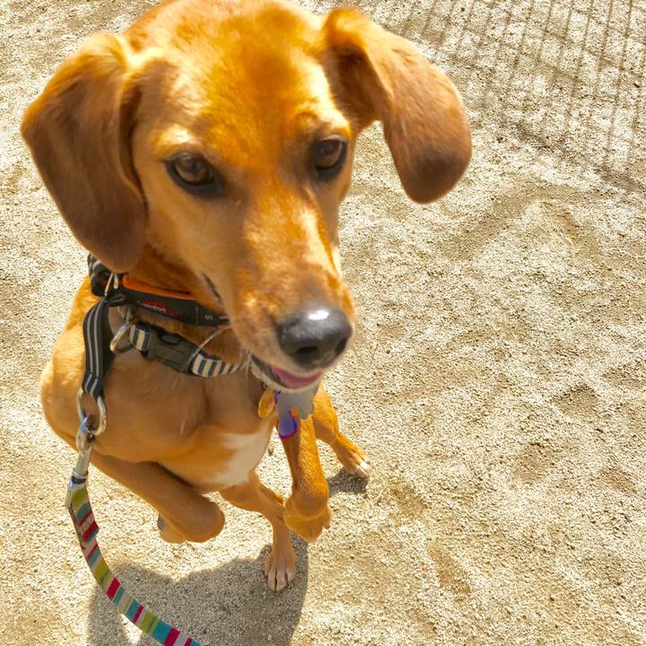 002e14cd 9df8 4d83 b45a 2b994196896c 1523062989235